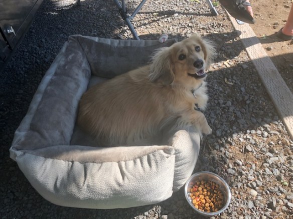 58449732714__1DB8ACCC-73B1-4100-A54A-56C2A4978B86